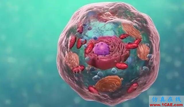 【資訊】強勢圍觀！Science公布的125個科學前沿問題!圖片77