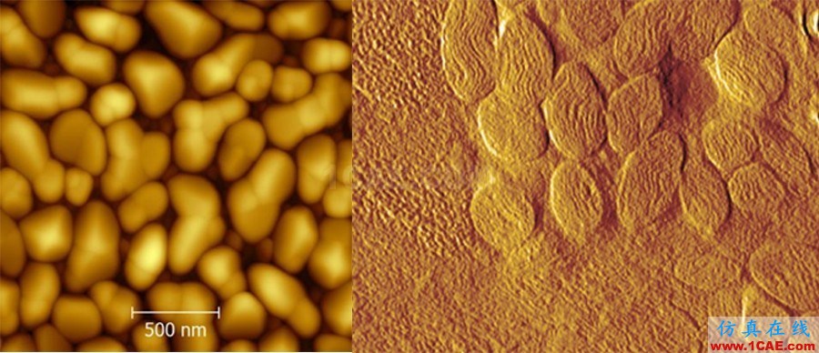 機械設計的高級境界:四大顯微設備SEM、TEM、AFM、STM工作原理,看圖說話機械設計圖例圖片21