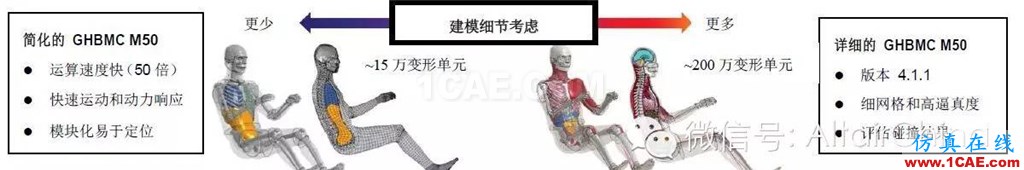 維克弗里斯特大學基于HyperWorks開發車輛碰撞仿真的人體模型hypermesh分析案例圖片3