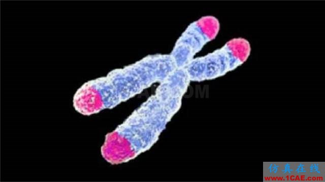 【資訊】強勢圍觀！Science公布的125個科學前沿問題!圖片66