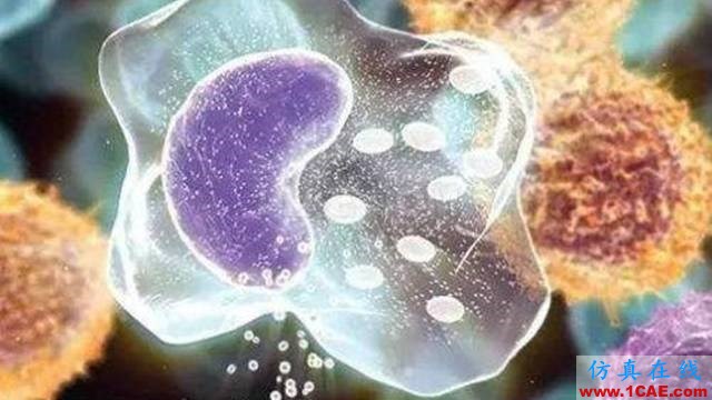 【資訊】強勢圍觀！Science公布的125個科學前沿問題!圖片62