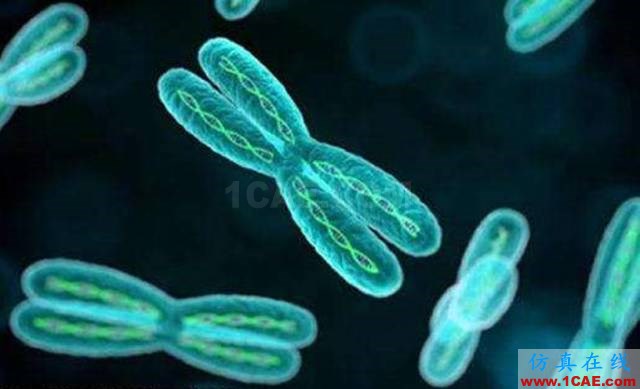 【資訊】強勢圍觀！Science公布的125個科學前沿問題!圖片101