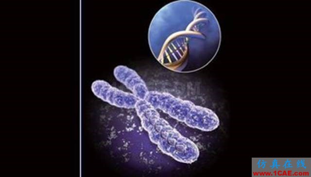 【資訊】強勢圍觀！Science公布的125個科學前沿問題!圖片4