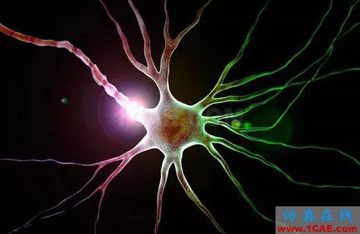 【資訊】強勢圍觀！Science公布的125個科學前沿問題!圖片8