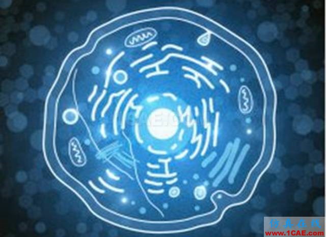 【資訊】強勢圍觀！Science公布的125個科學前沿問題!圖片81
