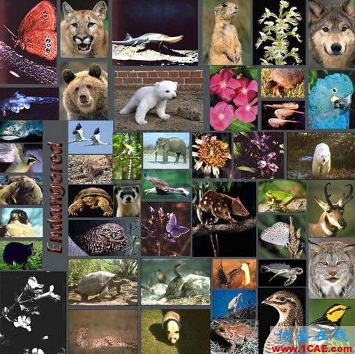 【資訊】強勢圍觀！Science公布的125個科學前沿問題!圖片99