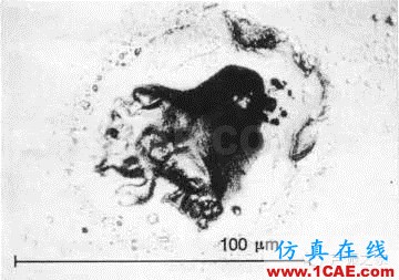 SKF軸承失效分析：失效形式、特征及可能原因機(jī)械設(shè)計(jì)圖片49