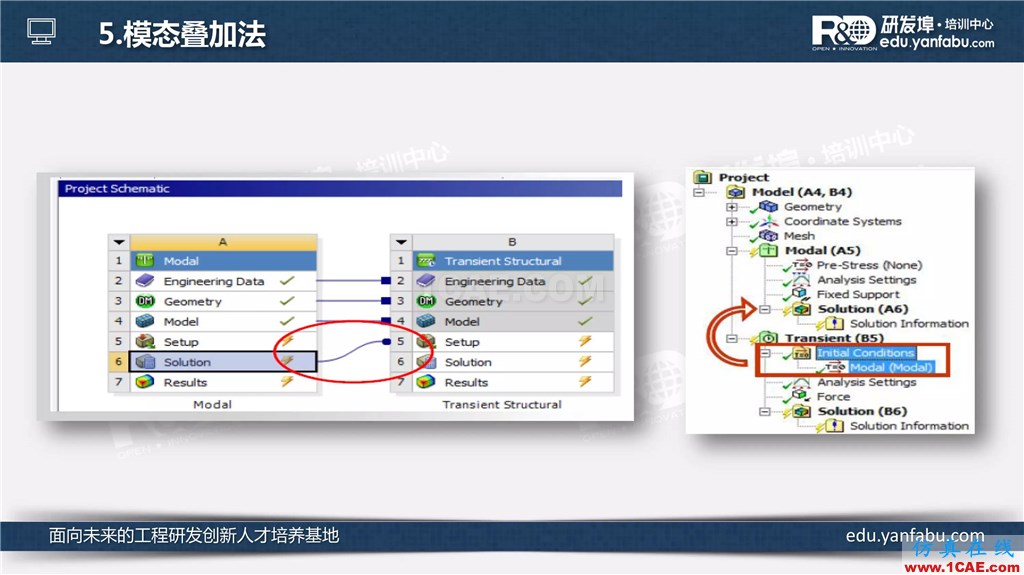 看完這個瞬態動力學分析會一半了ansys分析圖片16