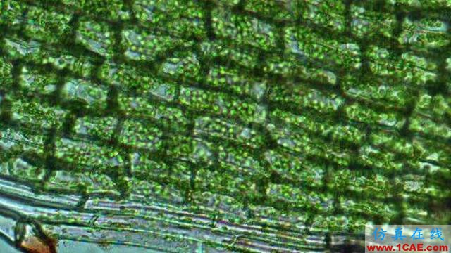 【資訊】強勢圍觀！Science公布的125個科學前沿問題!圖片104