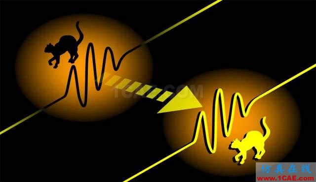 【資訊】強勢圍觀！Science公布的125個科學前沿問題!圖片21