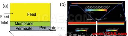 【行業應用】ANSYS Fluent在污水處理行業的解決方案fluent仿真分析圖片16
