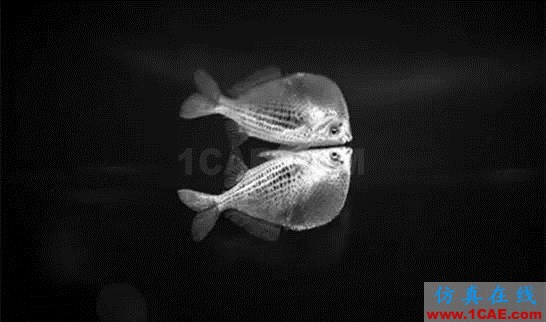 【資訊】強勢圍觀！Science公布的125個科學前沿問題!圖片58