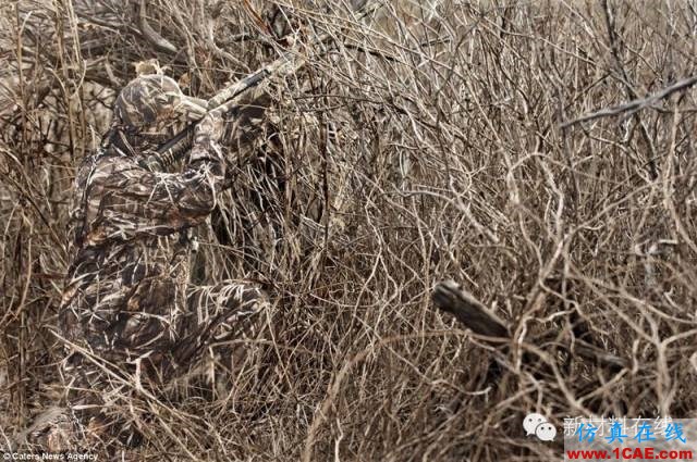 在你看不到的地方:隱身涂料的應用分類ADS電磁培訓教程圖片5