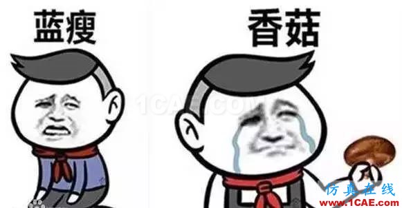66929b3b1cc147e0a044cdc15e15fd96_th.jpeg 什么?軟件不會!藍瘦、香菇!快來MIDAS學習啦!~MIDAS 2016 新疆橋梁技術交流會Midas Civil分析案例圖片2