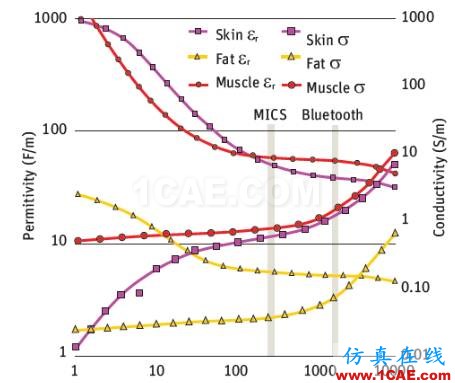 ANSYS在醫療健康行業的應用HFSS結果圖片7