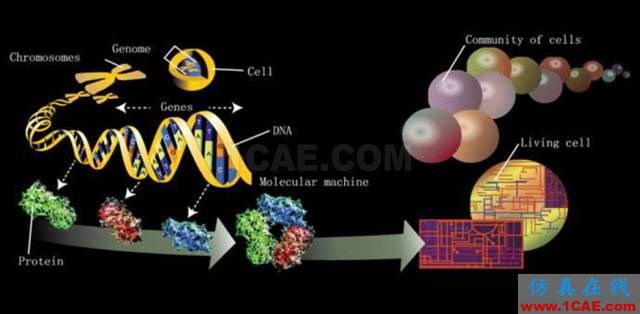 【資訊】強勢圍觀！Science公布的125個科學前沿問題!圖片61