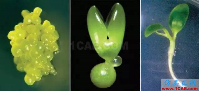 【資訊】強勢圍觀！Science公布的125個科學前沿問題!圖片9
