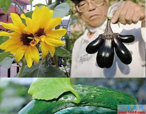 【資訊】強勢圍觀！Science公布的125個科學前沿問題!圖片107