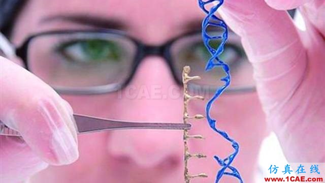 【資訊】強勢圍觀！Science公布的125個科學前沿問題!圖片14