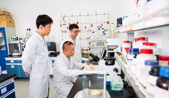 中國制造業第一縣聚力互聯網銷售轉型，新華日報頭版頭條聚焦產業升級新篇章