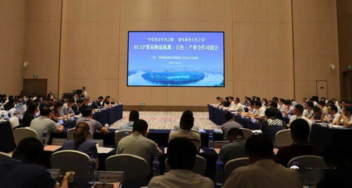 對接RCEP新機遇，共謀貿(mào)易物流新篇章——中國國際貨運代理協(xié)會考察團(tuán)赴我市開展產(chǎn)業(yè)合作對接